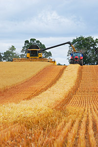 Rent Combine Harvester Perthshire